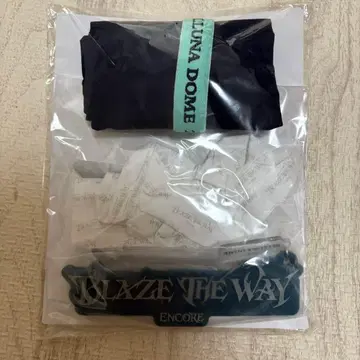 &TEAM BLAZE THE WAY 앙콘 업그레이드 특전 프리미엄 시트