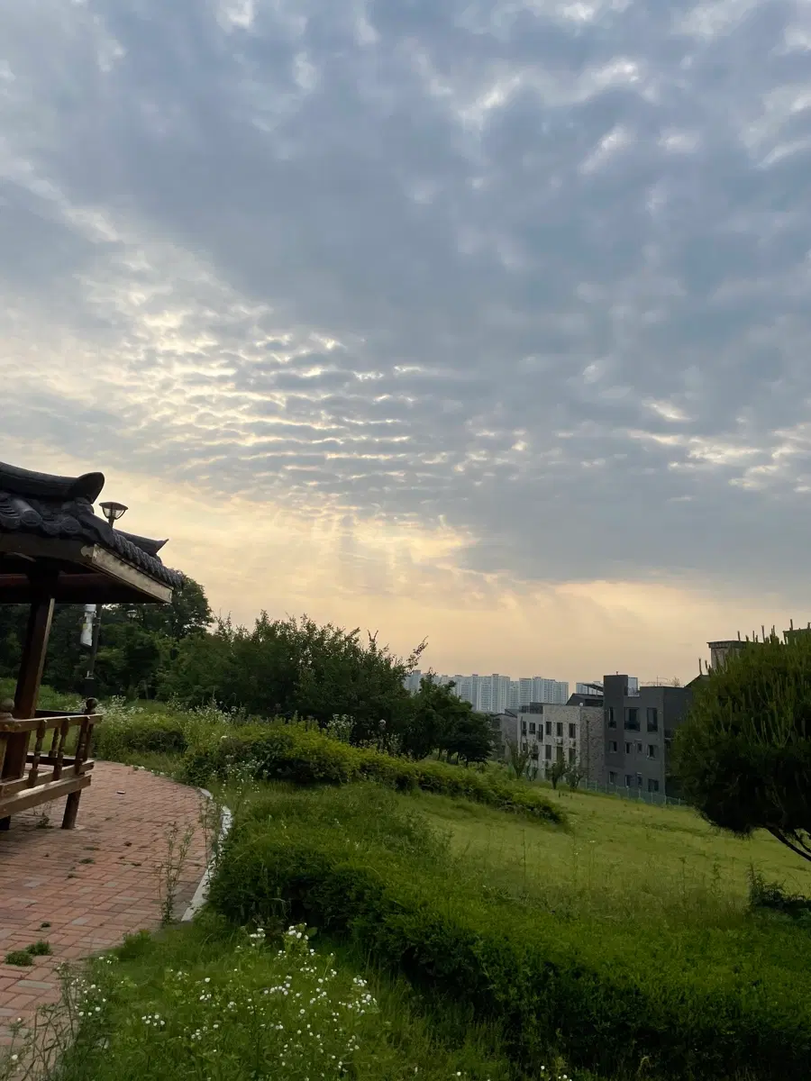 포켓몬카드