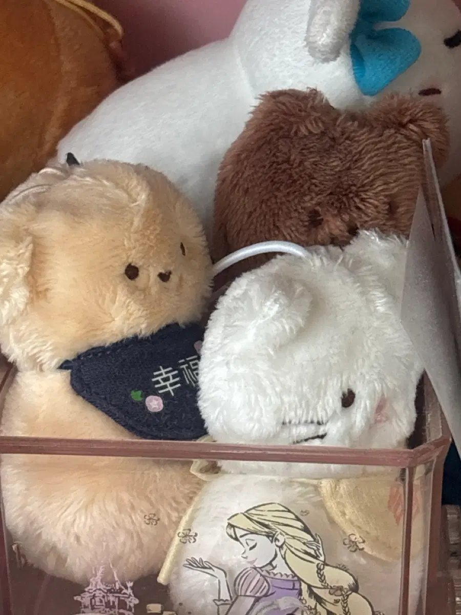일괄) 돈돈즈 3종세트 행운고양이 행복강아지 합격곰돌이