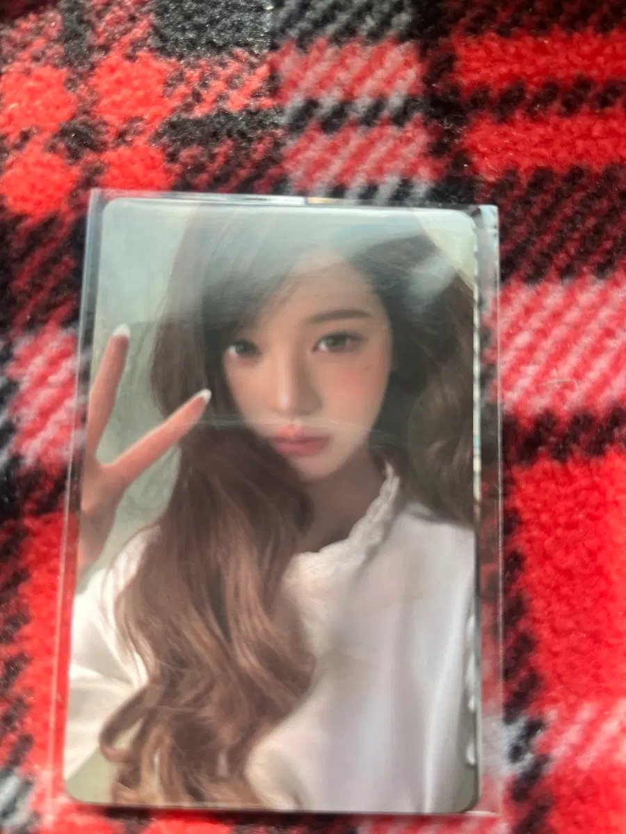 안녕즈 전시회 일반티켓 포카