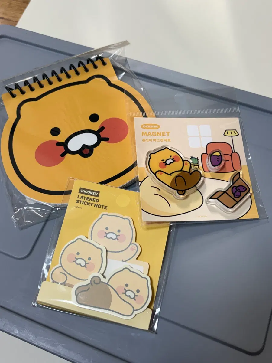 춘식이 이것저것 문구