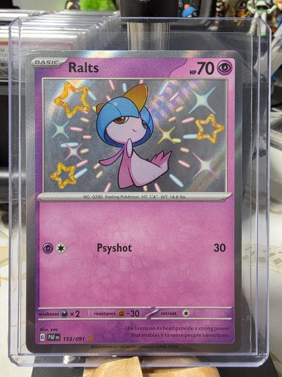 포켓몬카드 북미 이로치