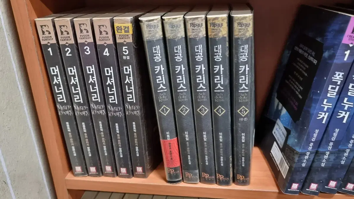 대공카리스 1-5 완 이동일 퓨전 판타지 소설