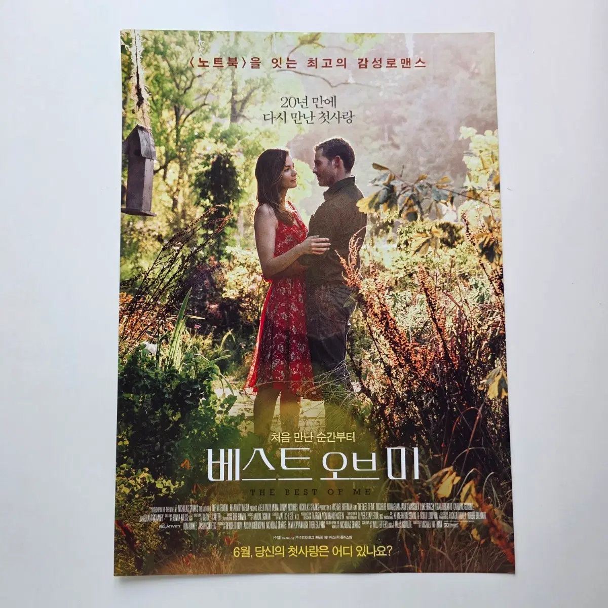 [전단지] 베스트 오브 미 2015 영화 포스터
