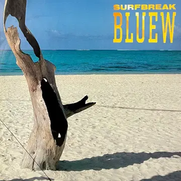 시티팝 블루 Bluew -Surfbreak LP | CD/DVD/LP | 번개장터 중고거래