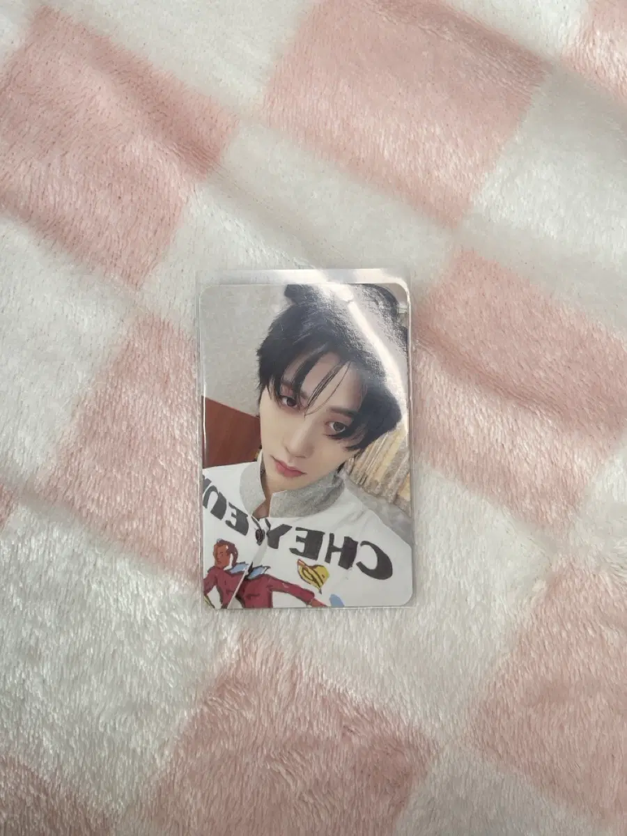 탯냥이포카입양하실분찾아요