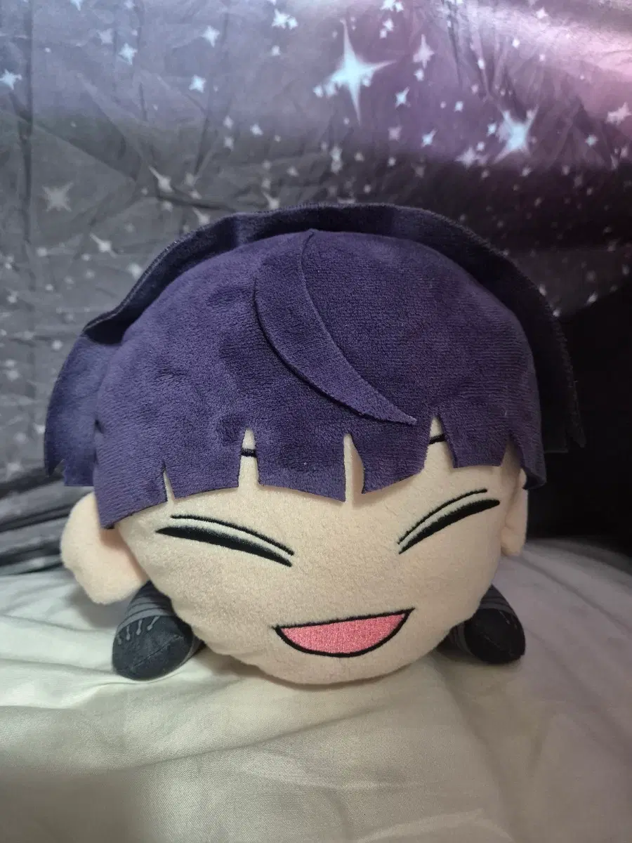 괴8 호시나 누이