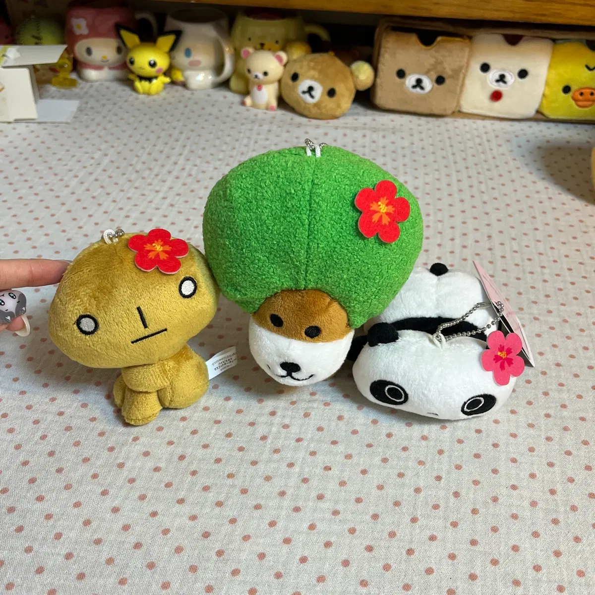 산엑스 하와이 인형 코게빵 아프로켄 타래판다