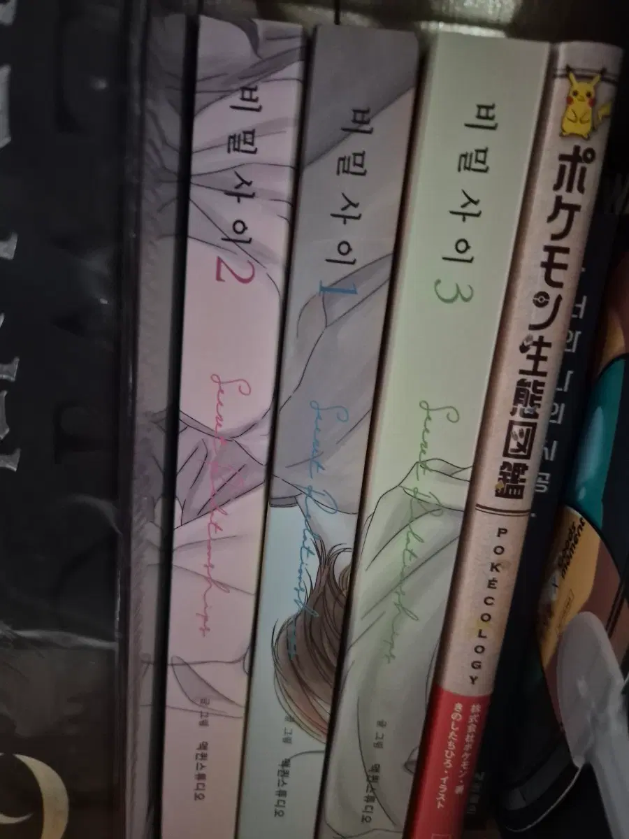 비밀사이 1, 2, 3권 세트