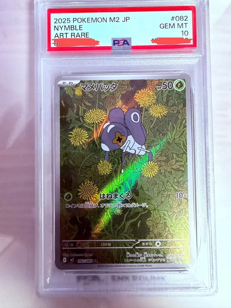 콩알뚜기AR PSA10