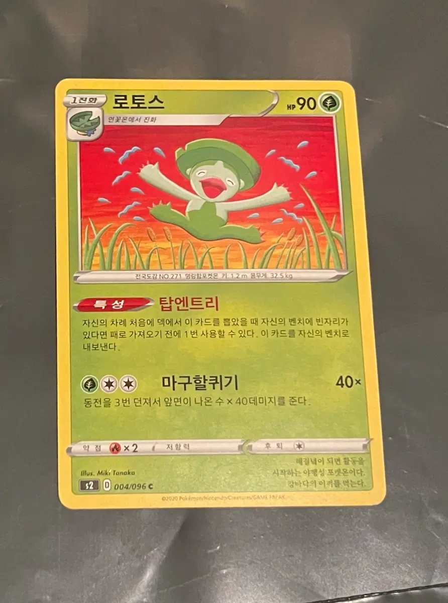 포켓몬 카드 로토스