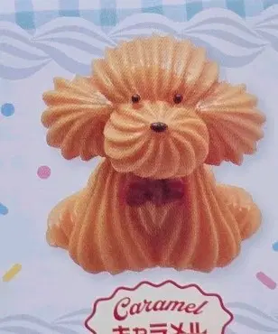 컬러풀 크림 강아지 가챠 갈색 푸들