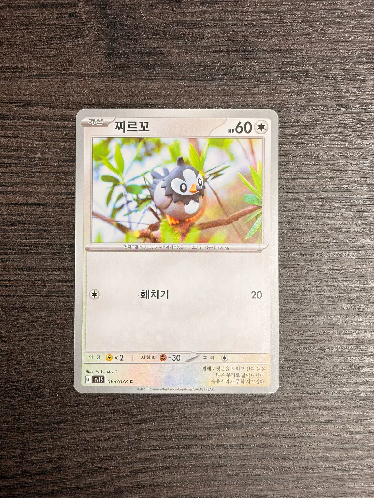 포켓몬카드 유카모리 찌르꼬 판매 5-M