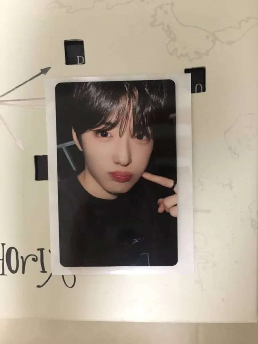 정상현 볼콕 포카