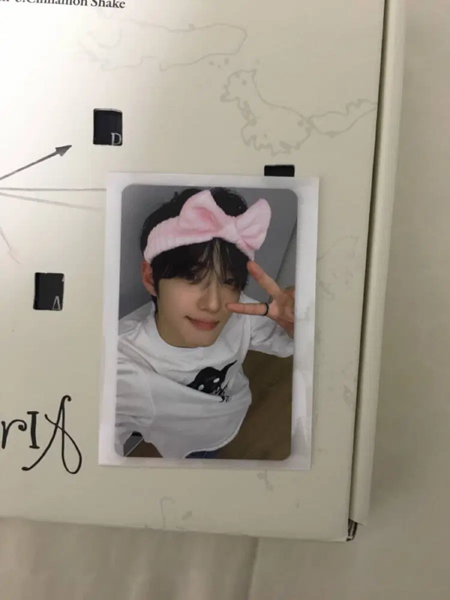 정상현 세안밴드 포카