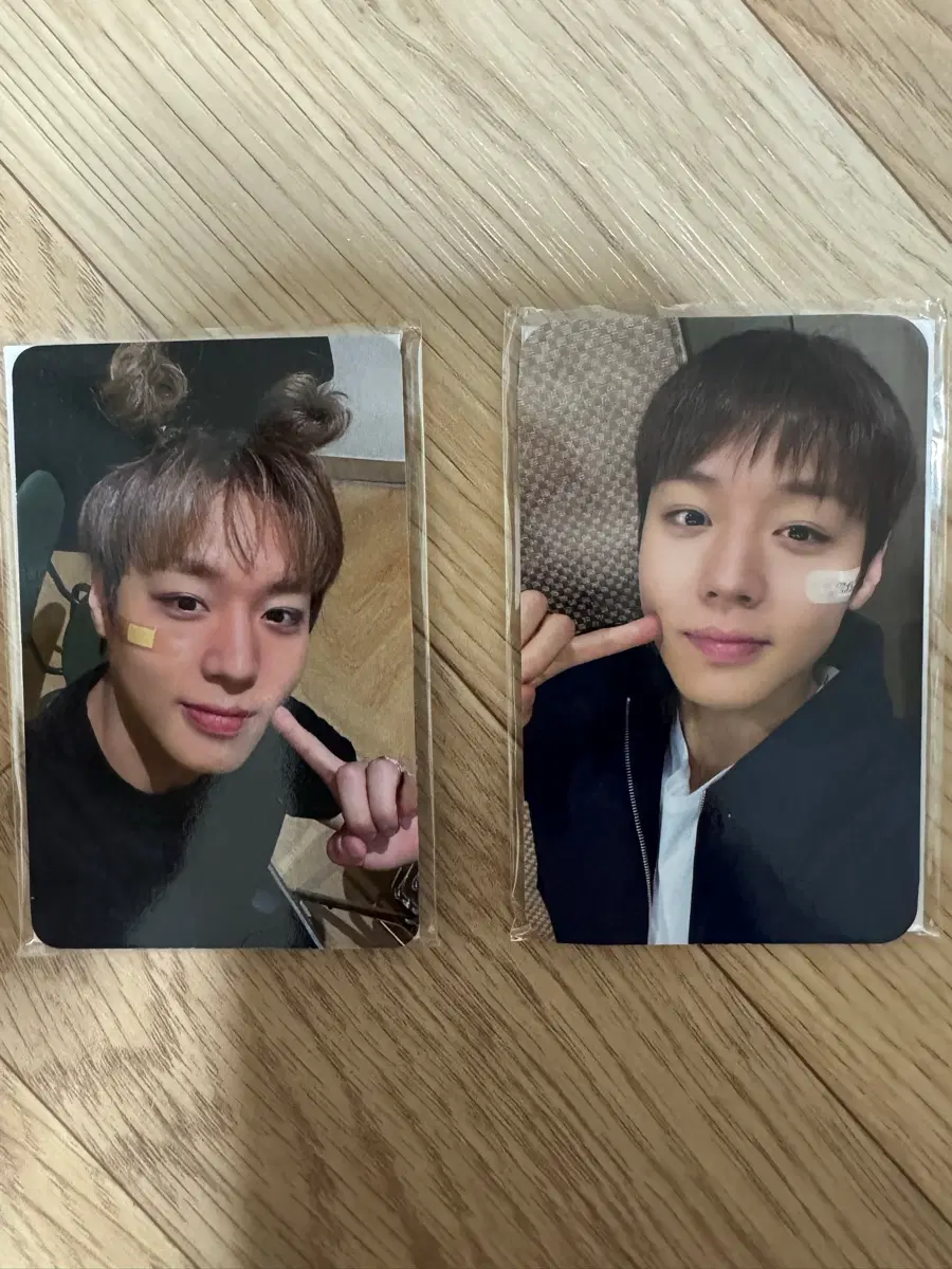 박지훈 팬콘 포토카드 (방콕 / 자카르타)