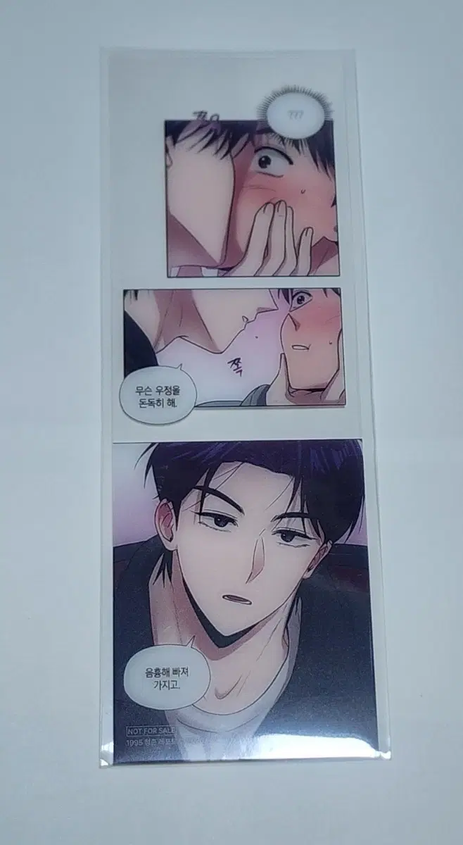 레봄도서전 레봄5특 청춘레포트