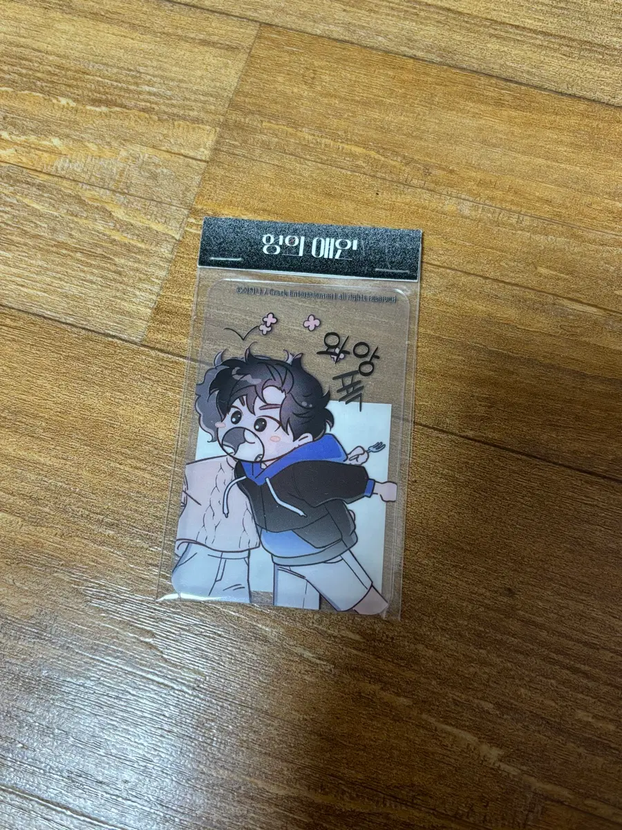 형의 애인 투명 포토카드