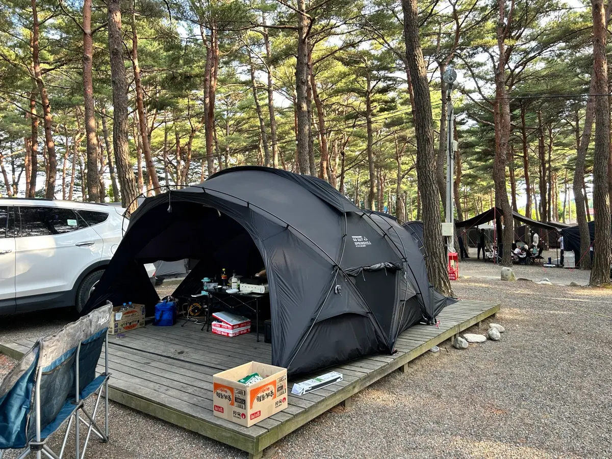고아웃 스프링힐 쿤룬 쉘터 판매