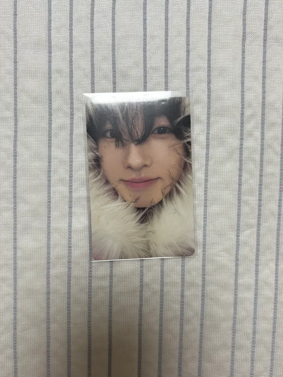 엔시티 사쿠야 포카 양도