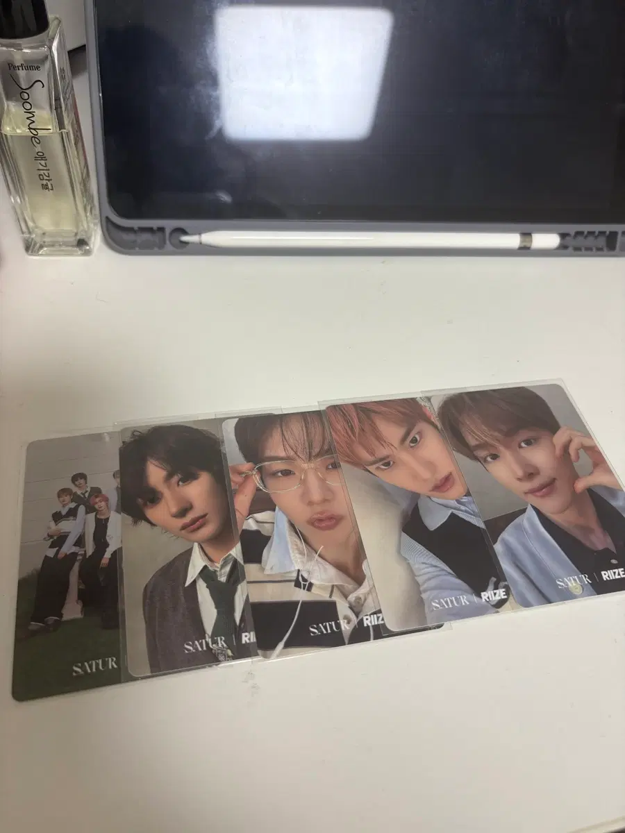 라이즈 세터포카