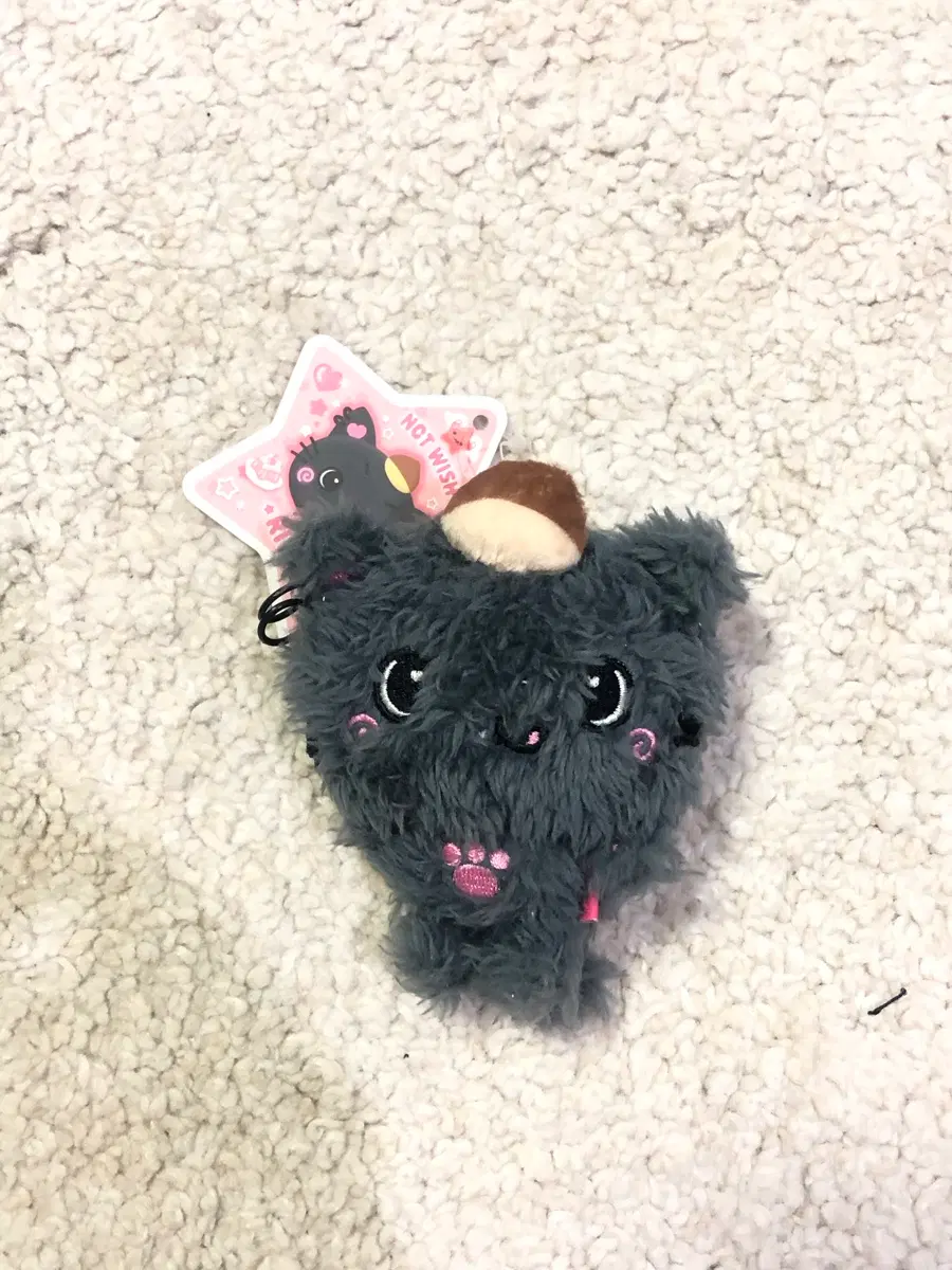 포켓돌쿠리