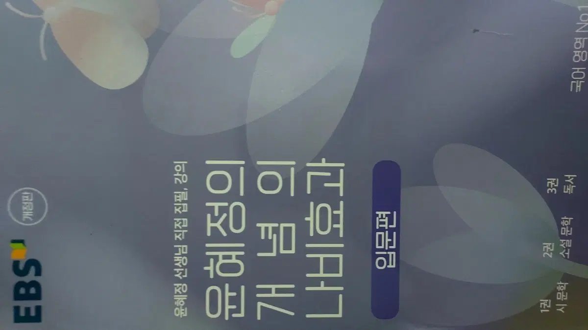 윤혜정의 개념의 나비효과 입문편