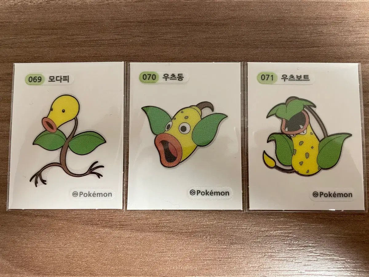 포켓몬 띠부씰 모다피 우츠동 우츠보트