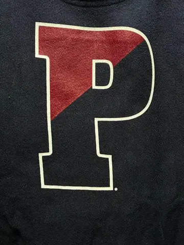Champion 후드티 네이비 PENN 프린트