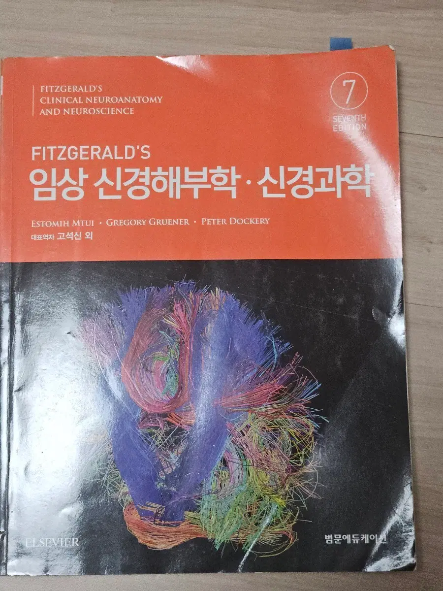 FITZGERALD'S 임상 신경해부학 신경과학 7판