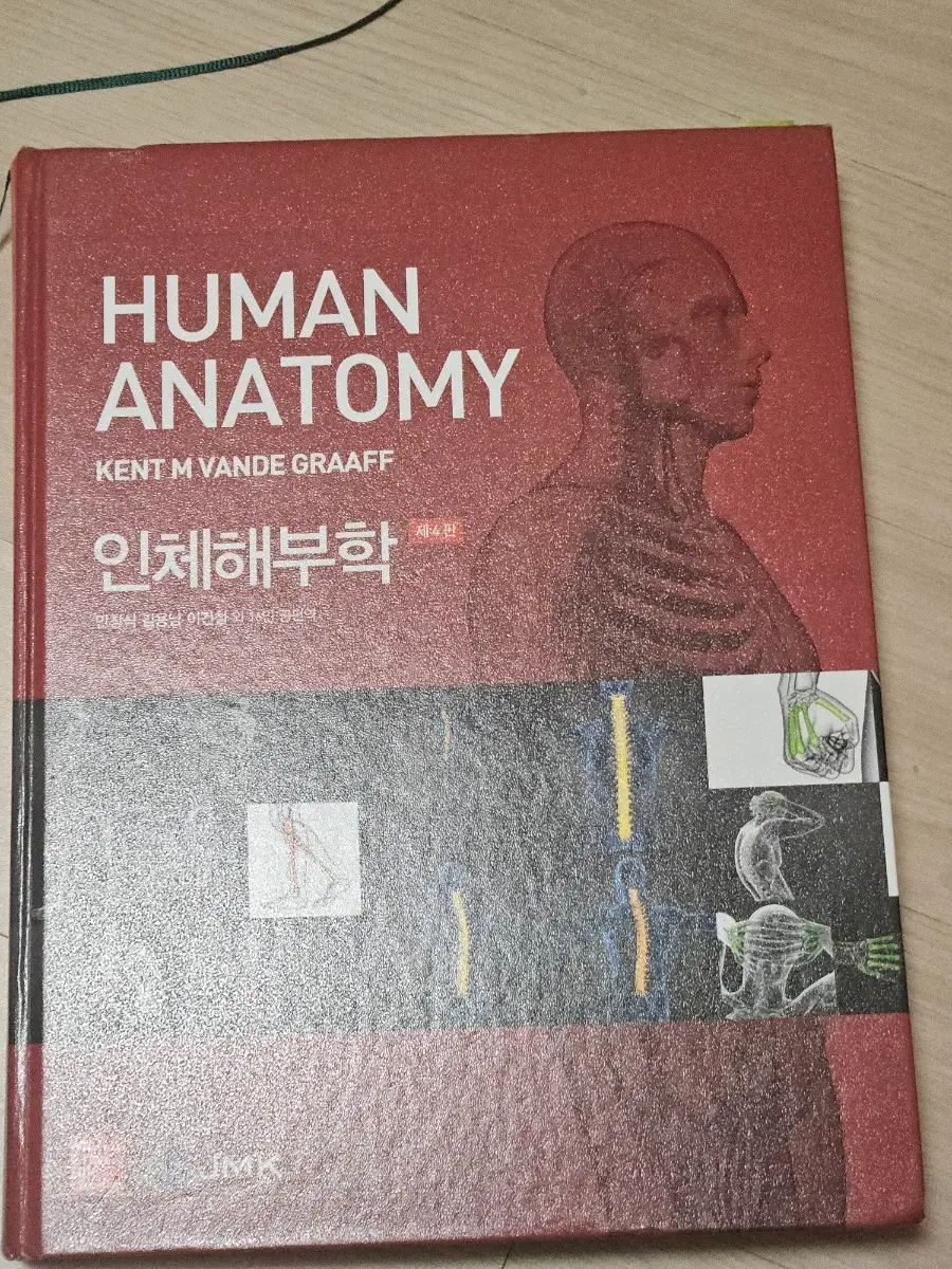 인체해부학 HUMAN ANATOMY 교재
