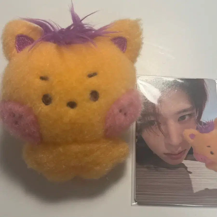 위시니니 시온 인형 시오니니 + 포카