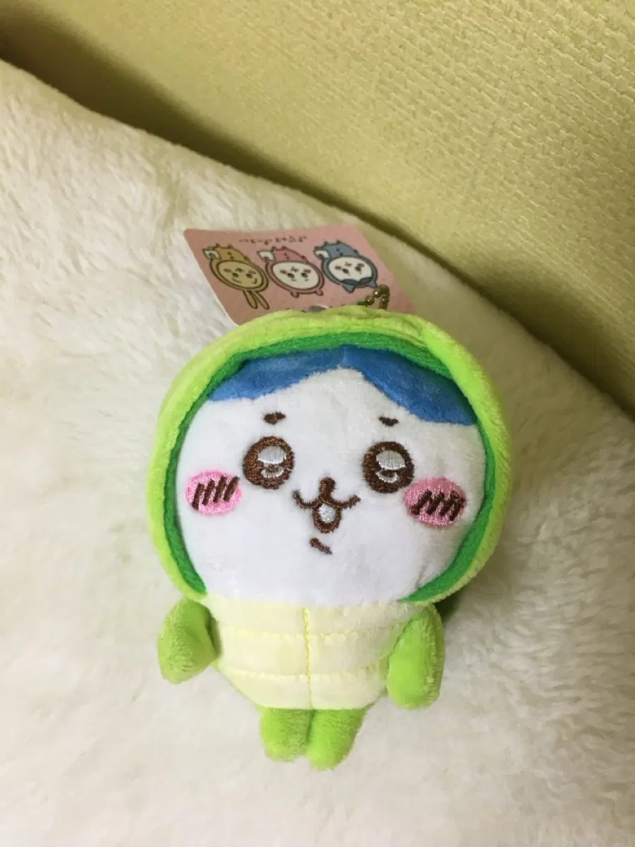 하치와레 거북이 인형