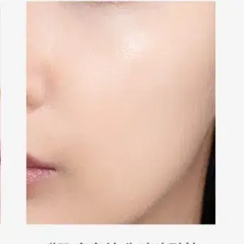 바닐라코 커버리셔스 얼티밋 화이트 쿠션 모이스처 21호