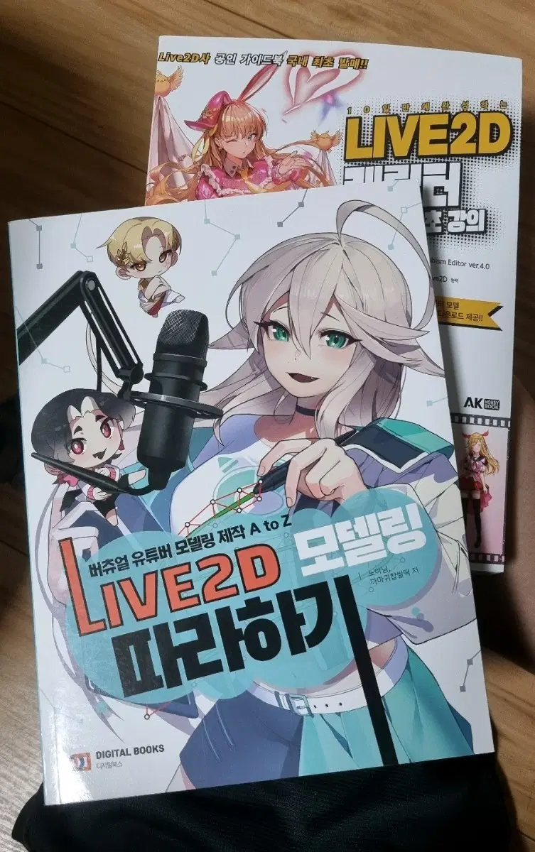 Live 2D 모델링 강의 도서 2권