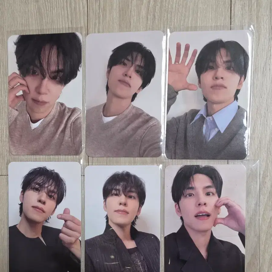 데이식스 원필 포카 일괄