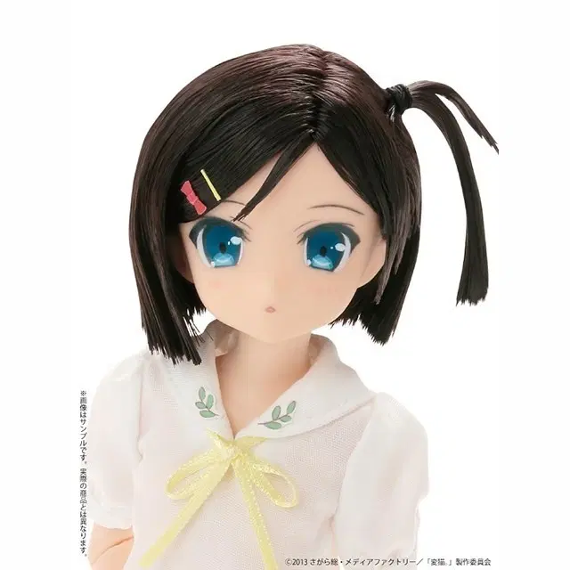 Azone 아존돌 1/6 츠츠카쿠시 츠키코