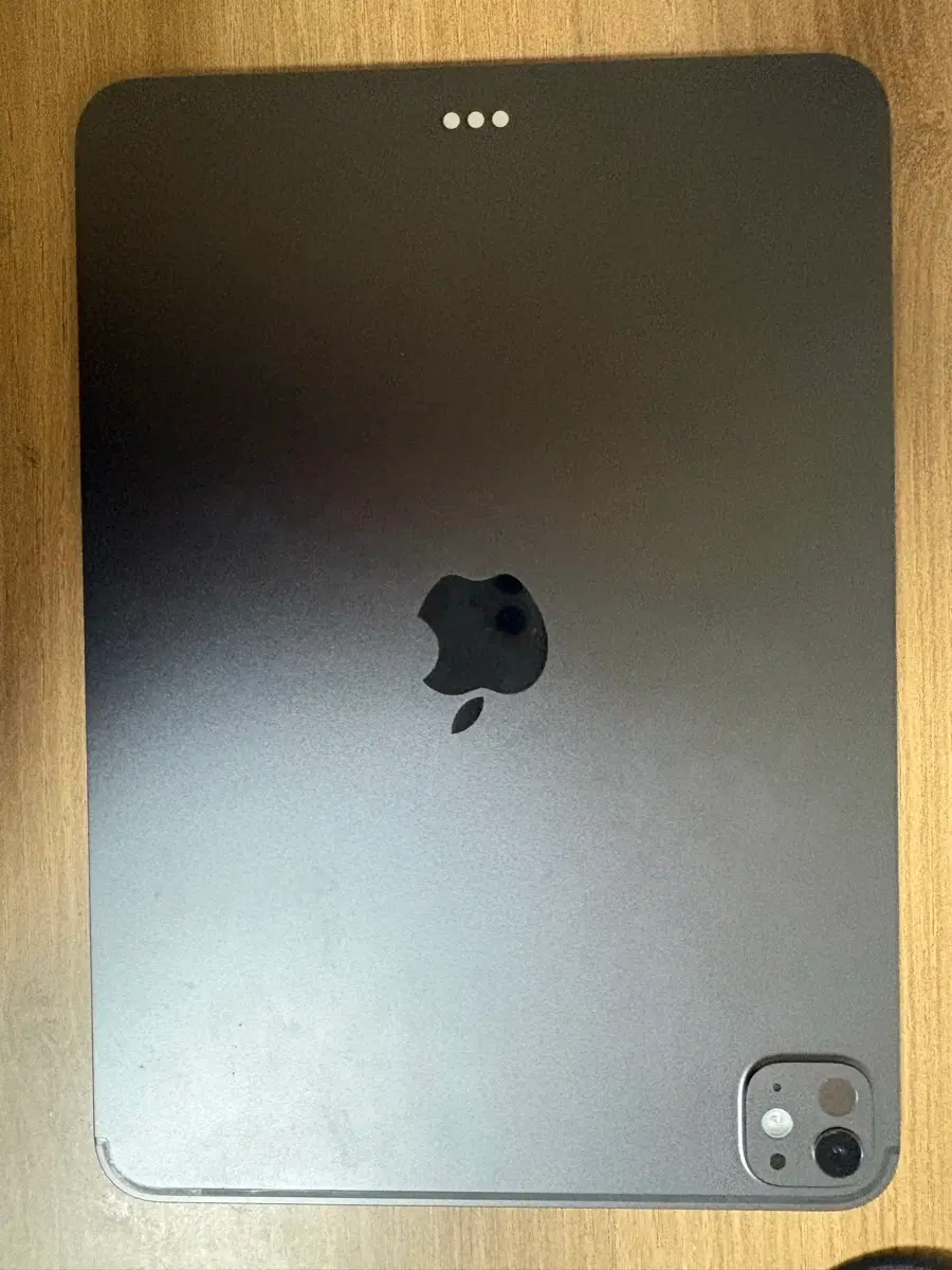 아이패드 프로 11 m5 스페이스 그레이 256gb