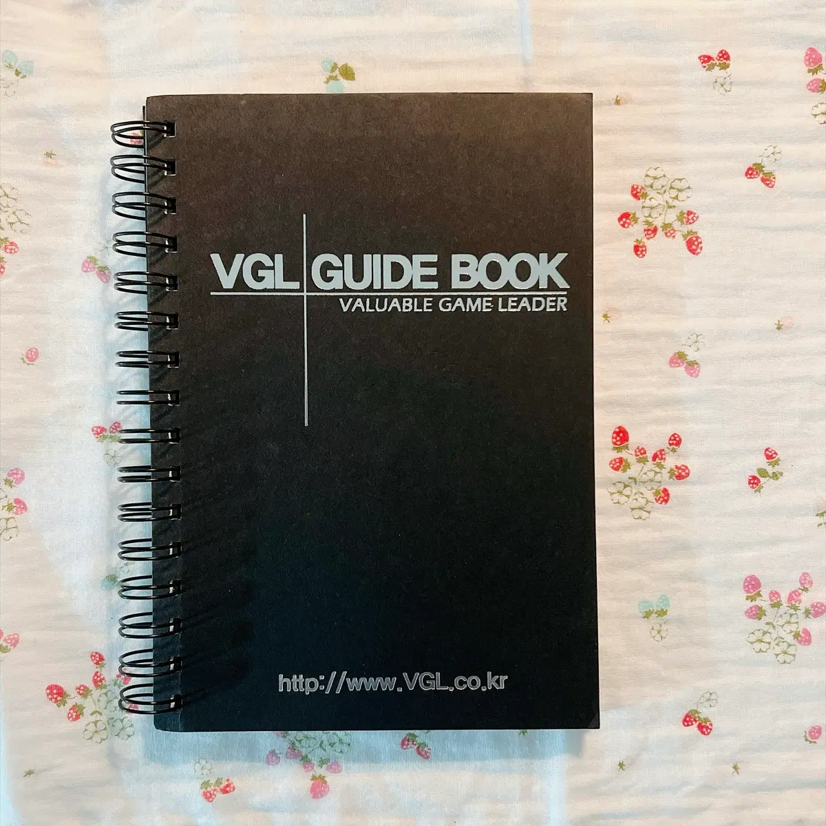 포켓몬스터 에메랄드 VGL 가이드북