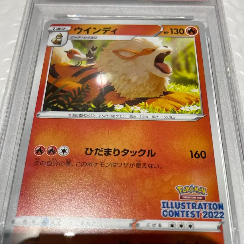 포켓몬 PSA 10 포켓몬스터 윈디 일러스트 2022 카드