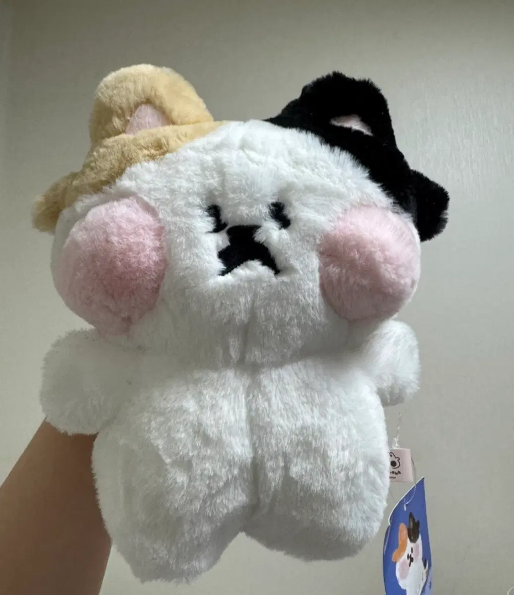 고양이 인형