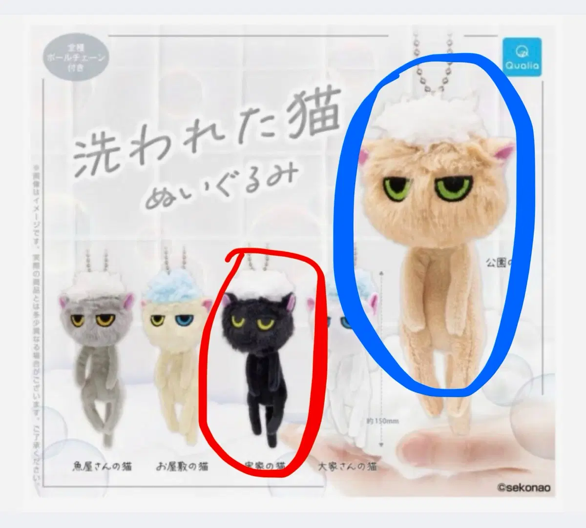 씻겨진 고양이 목욕한 고양이 가챠 키링 교환 및 판매