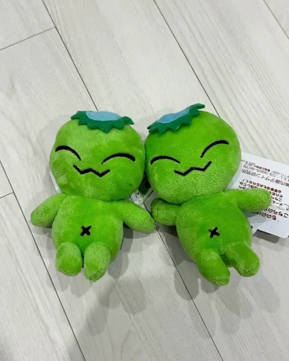 일본 갓파 마스코트 인형 일본 정품 굿즈 캐릭터