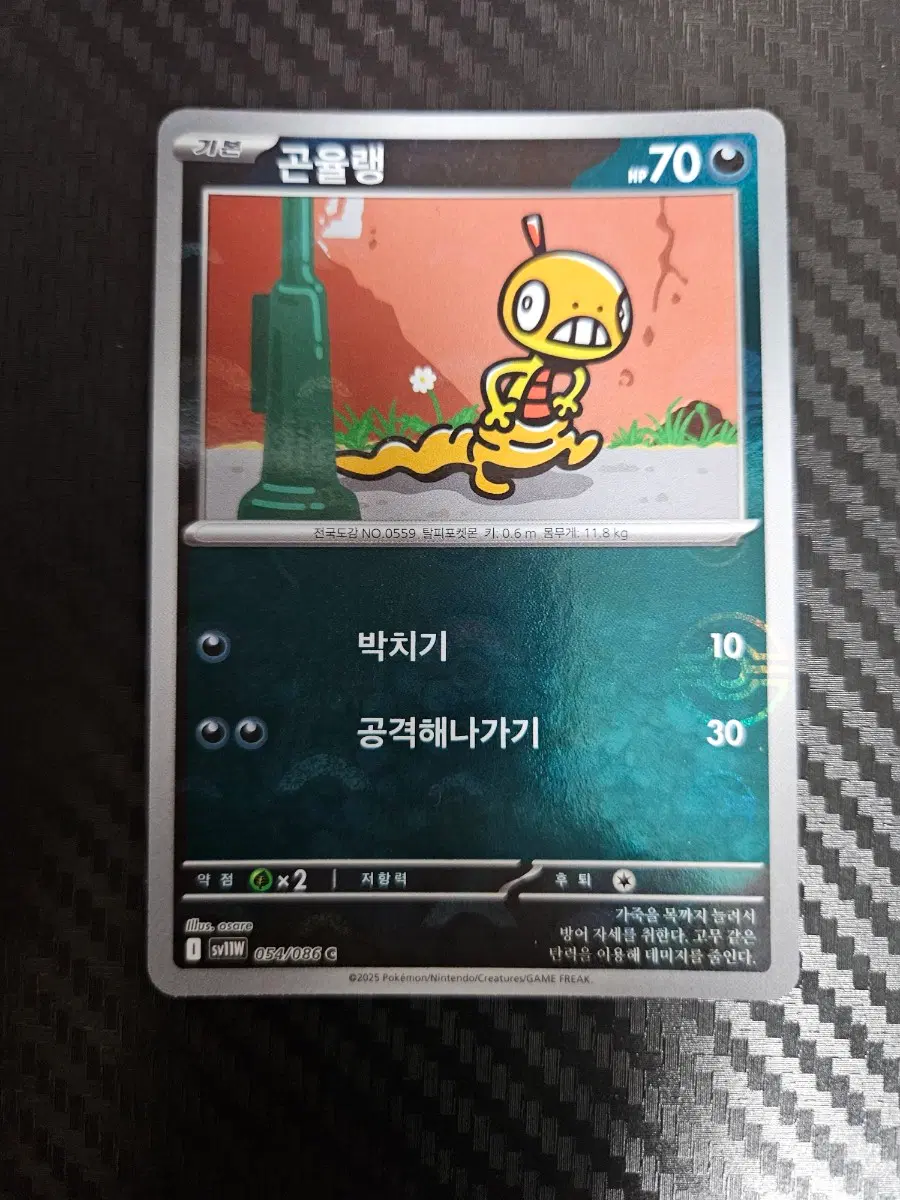 포켓몬카드 곤율랭 몬스터볼 홀로 054/086