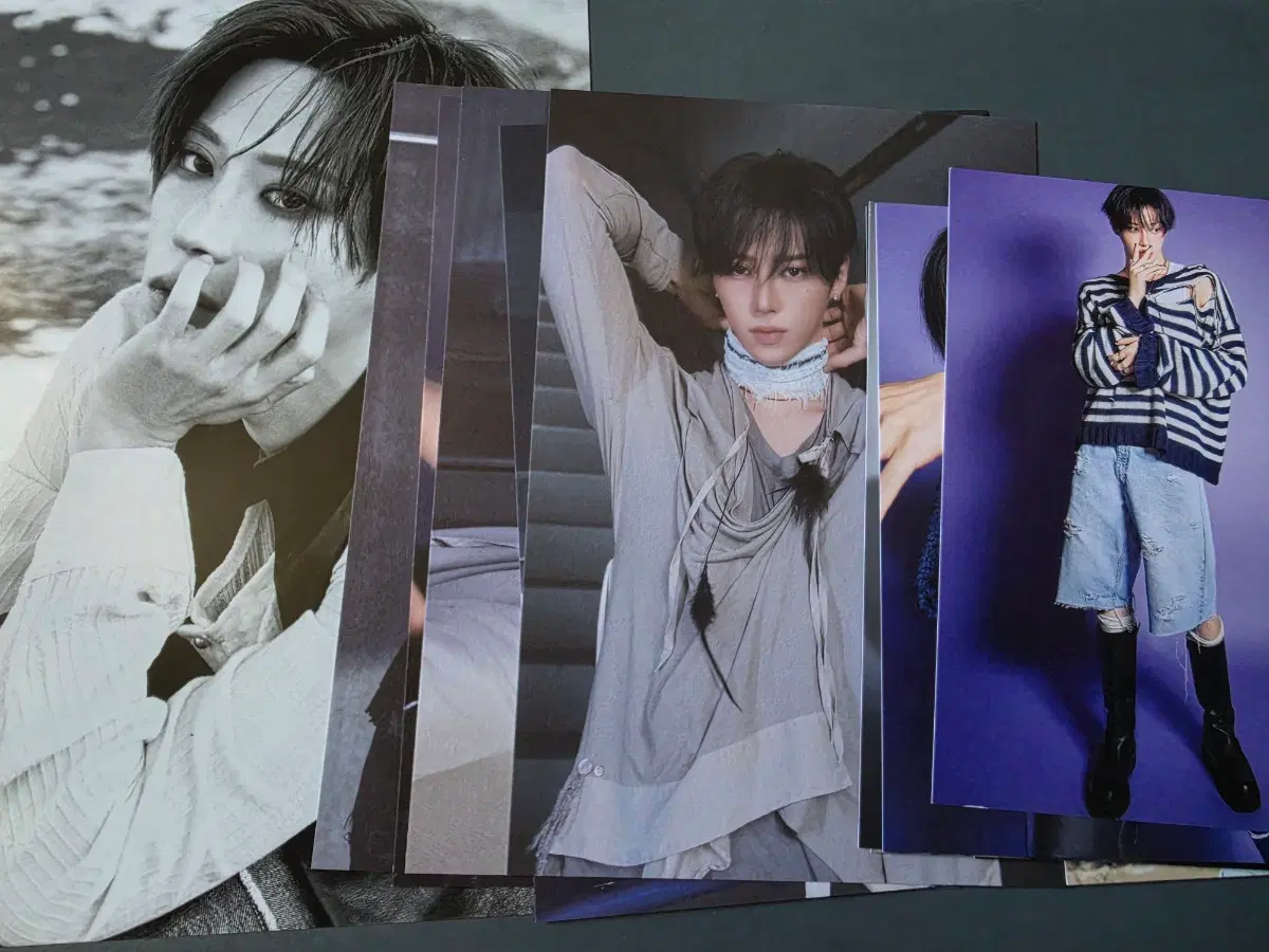 알파드라이브원 아르노 Fragile Beast Ver.+Hissing Ver.+포카앨범 포토엽서 5종(16종 세트) 장지아하오 포토 엽서 세트