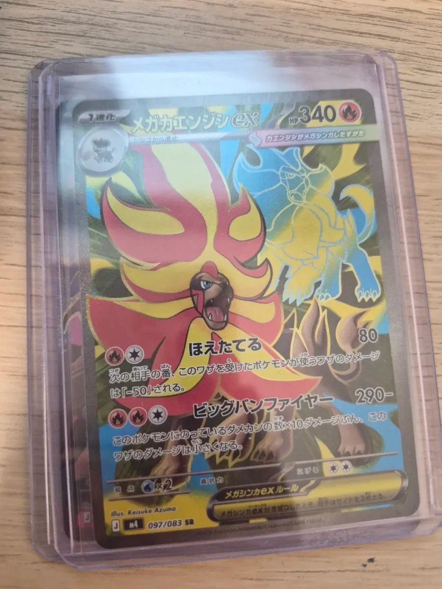 포켓몬 카드 메가번치 ex SR MINT 일판