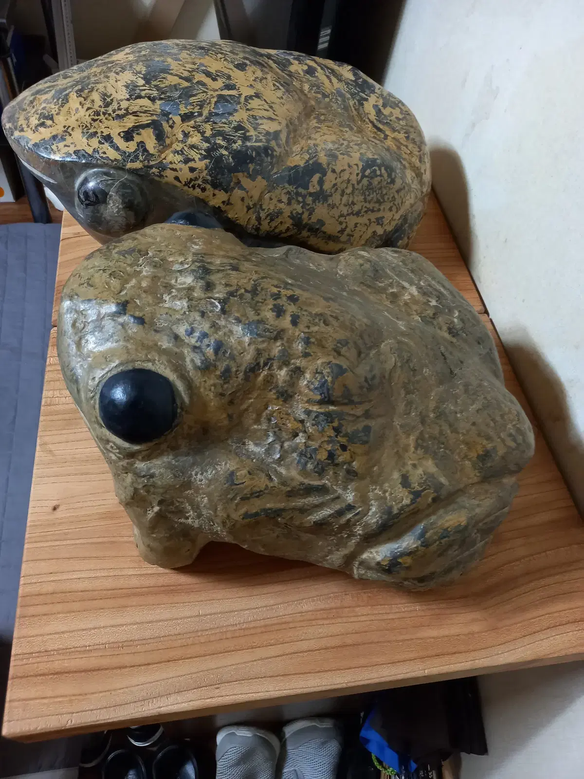 스트로마톨라이트 화석 두꺼비
