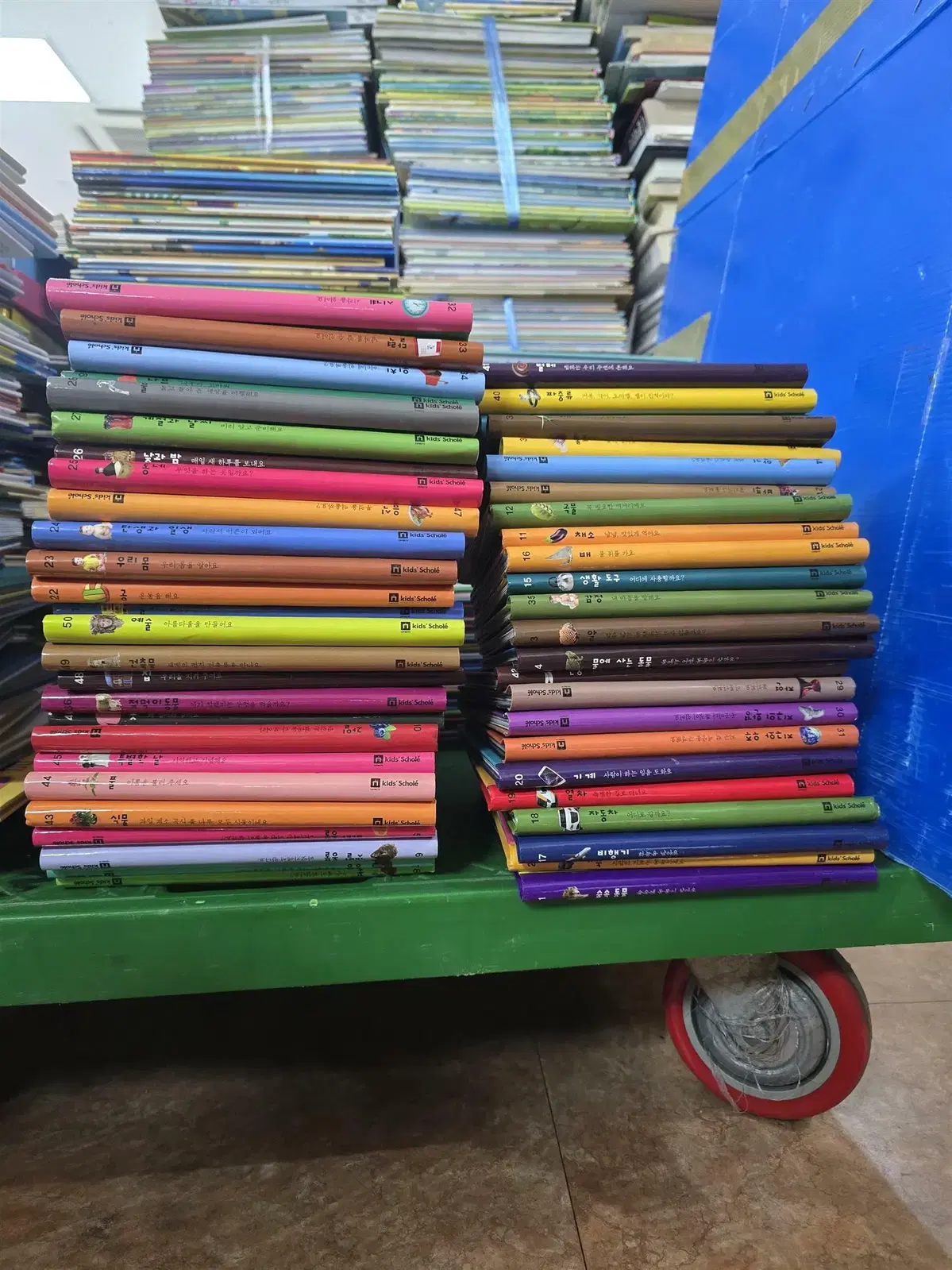 마이퍼스트월드 My First World 키즈스콜레 50권 세트 어린이책 중고책