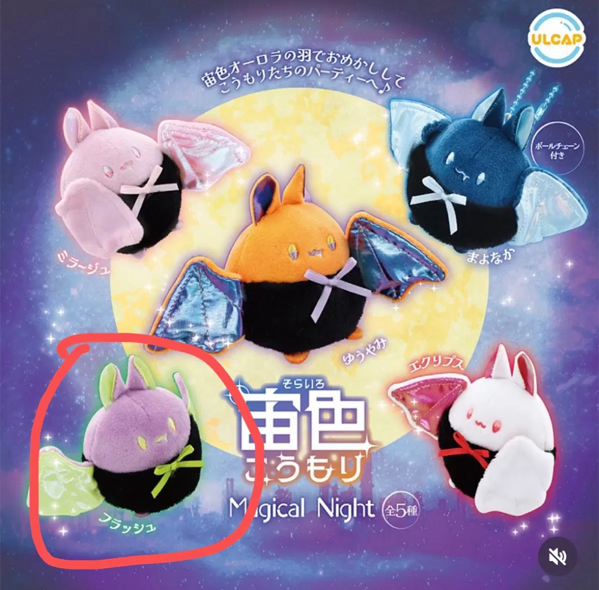 매지컬 나이트 박쥐 보라 누이구루미 가챠