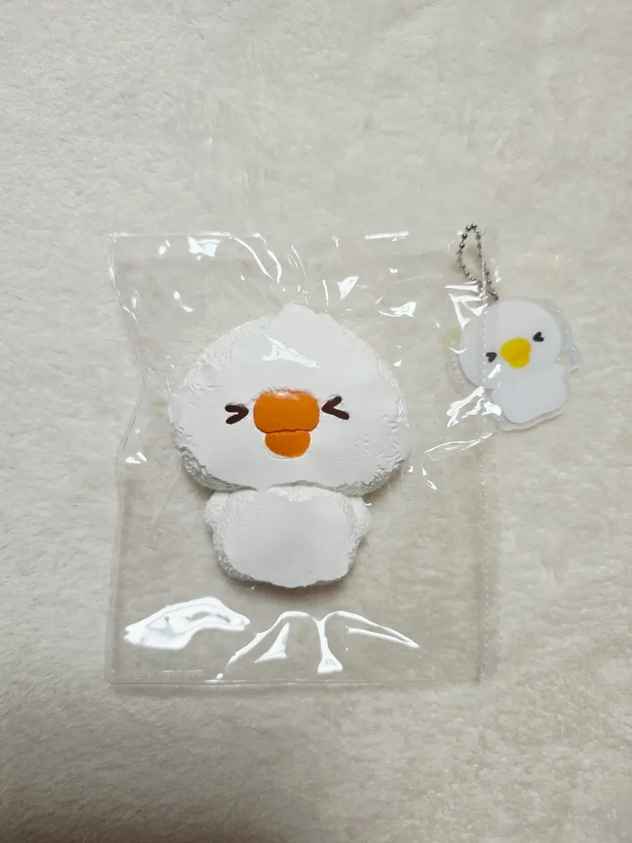 teddy bear 테디베어 말랑이